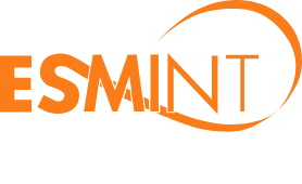 European Society of Minimally Invasive Neurological Therapy ESMINT