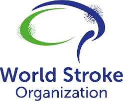 World Stroke Organization WSO